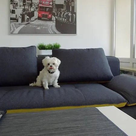 Apartment Modernes *